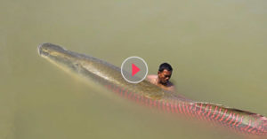 they were fishing