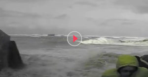 brave bystander
