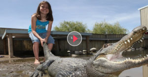 girl vs alligator