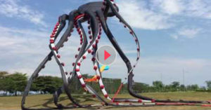 Octopus Kite