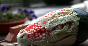 watermelon carving