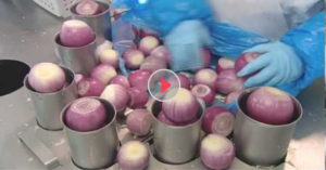 Packets Of Onions
