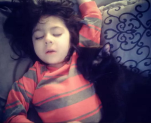 funny faces adorable black cat