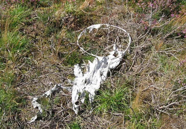 Destroying Mother Earth