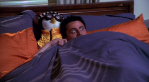 sleeping with a snorer