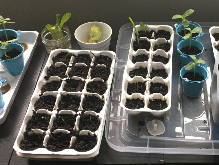 Throwing Things Away