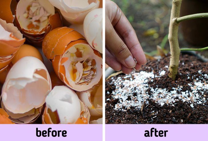 Throwing Things Away