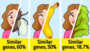 Facts About Your Body