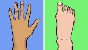 Mysteries in the Human Body