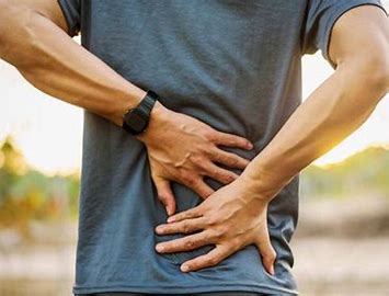 Green Gold: Paragis' Health Secrets