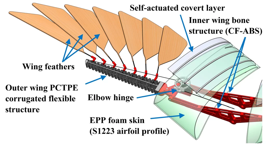 How Birds Inspire Aircraft Design