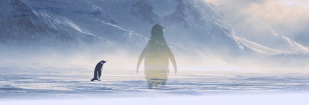 Born to Be Alone? Exploring Solitary Behavior in Wildlife