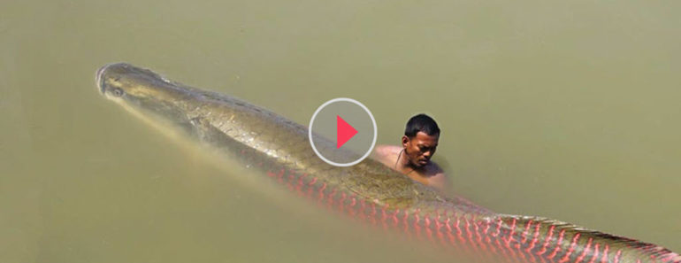they were fishing