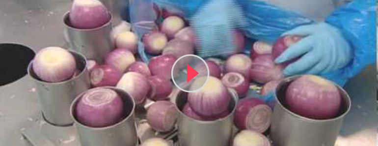 Packets Of Onions