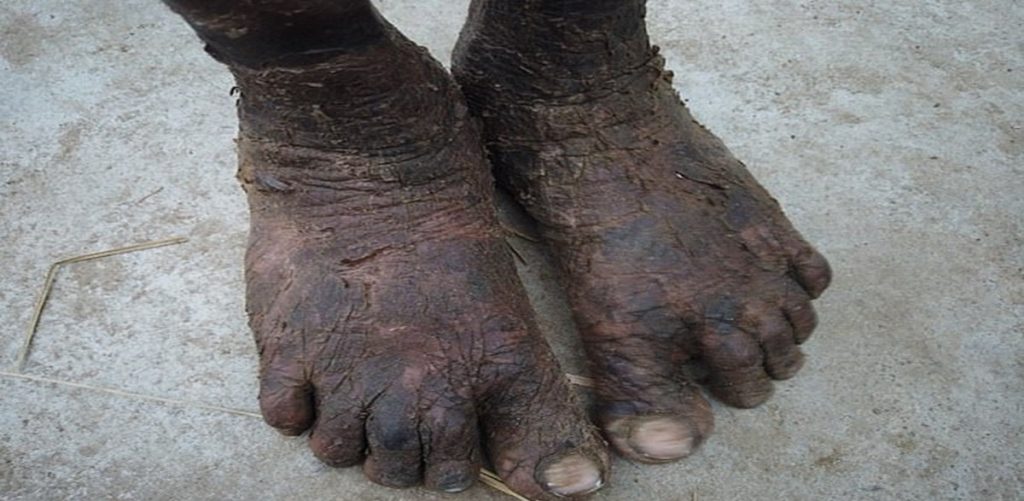 Jagannath: The Remarkable 