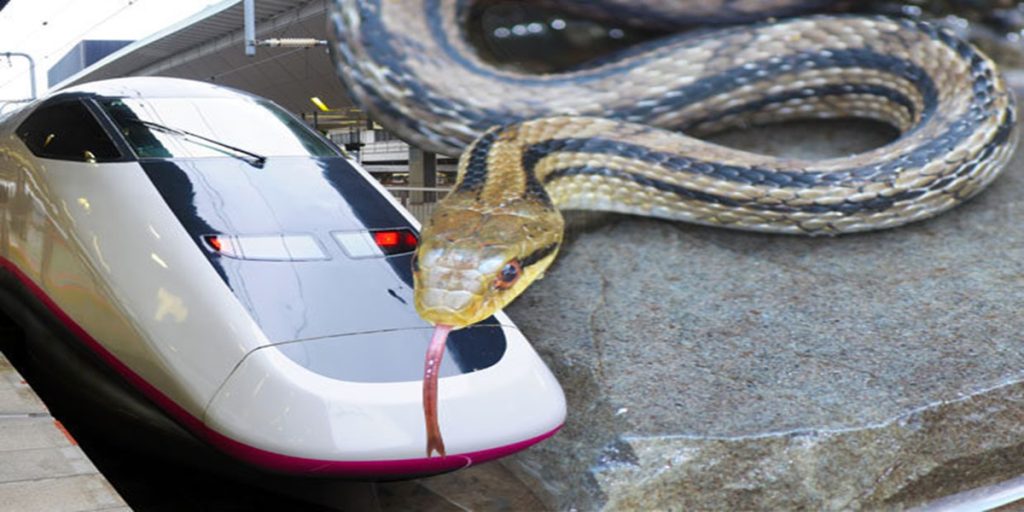Snake Ejected from Japanese Bullet Train