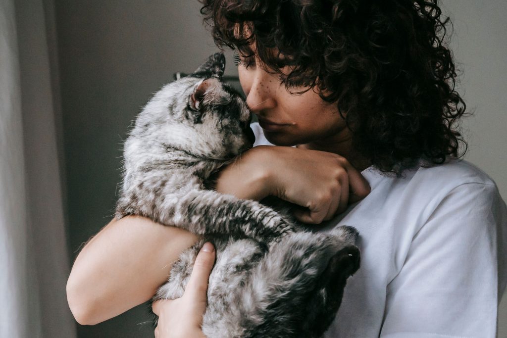 The Silent Love Between Humans and Cats